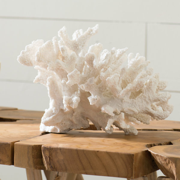 Beachcrest Home Coral Decor & Reviews Wayfair.co.uk